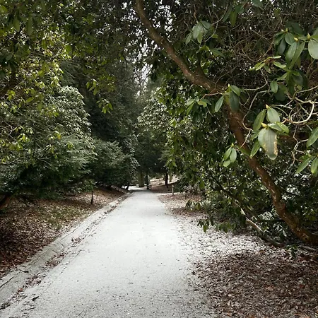 Bond * Szczawno-Zdroj
