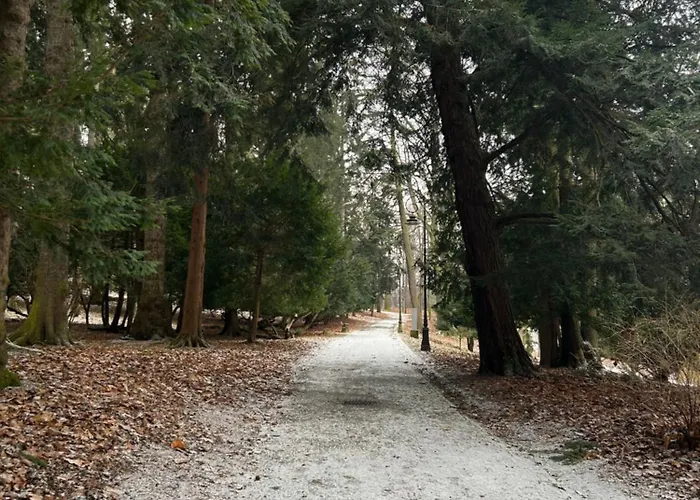 Bond Апартаменты *