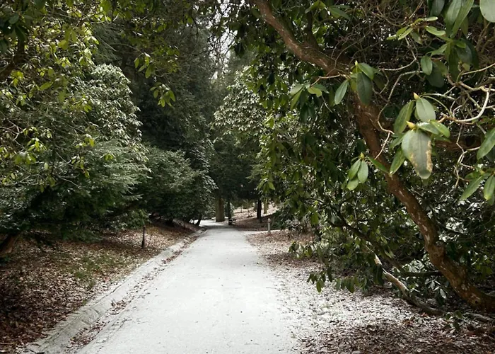 Bond * Bad Salzbrunn